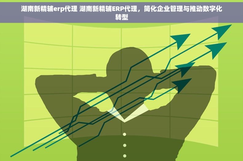 湖南新精辅erp代理 湖南新精辅ERP代理,简化企业管理与推动数字化转型 湖南新精辅erp代理 湖南新精辅ERP代理,简化企业管理与推动数字化转型