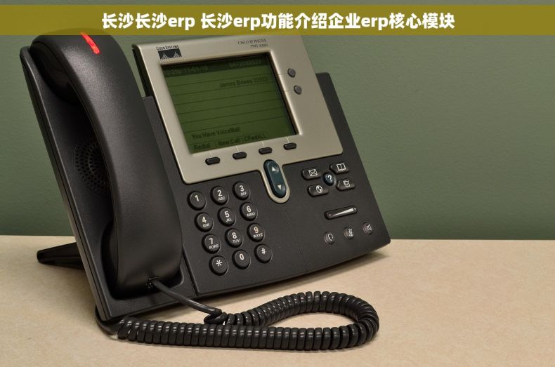 长沙长沙erp 长沙erp功能介绍企业erp核心模块