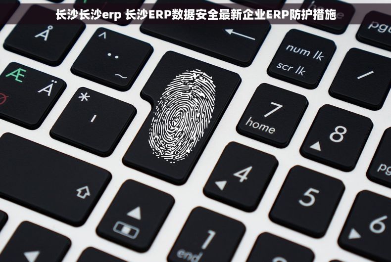长沙长沙erp 长沙ERP数据安全最新企业ERP防护措施 长沙长沙erp 长沙ERP数据安全最新企业ERP防护措施