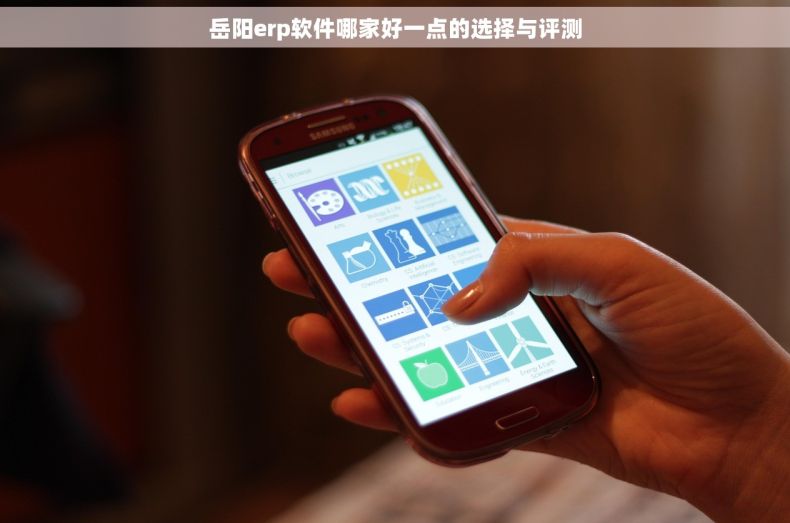 岳阳erp软件哪家好一点的选择与评测 岳阳erp软件哪家好一点的选择与评测