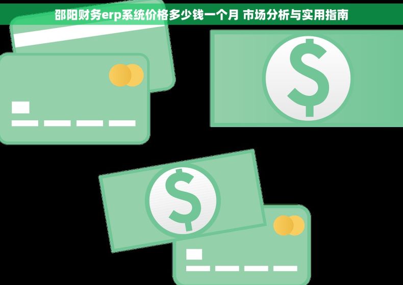 邵阳财务erp系统价格多少钱一个月 市场分析与实用指南