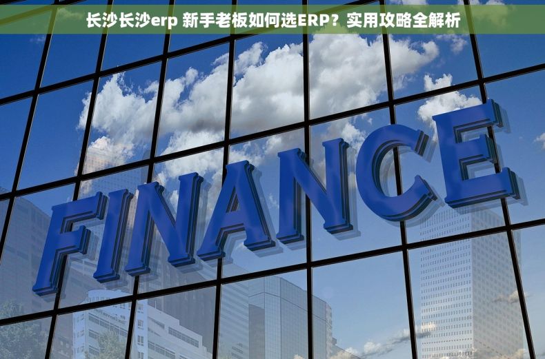 长沙长沙erp 新手老板如何选ERP？实用攻略全解析