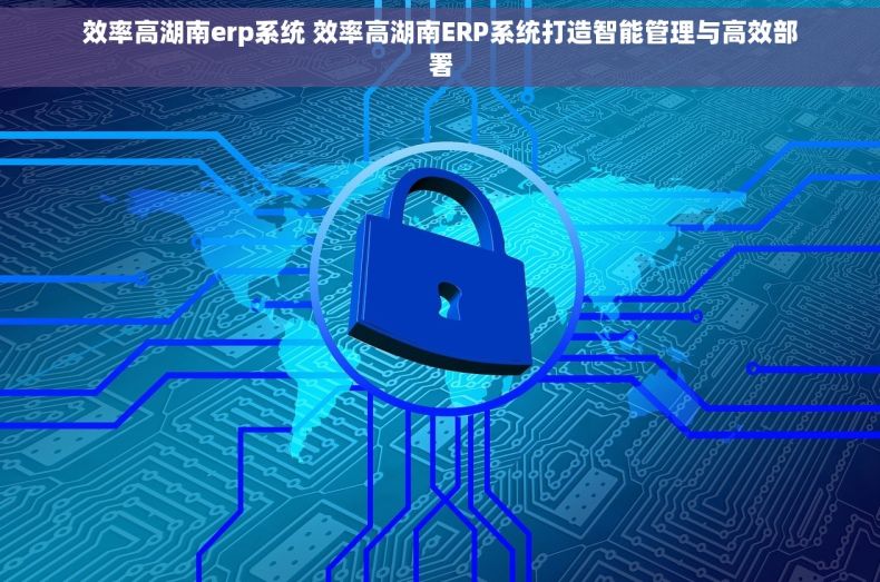 效率高湖南erp系统 效率高湖南ERP系统打造智能管理与高效部署
