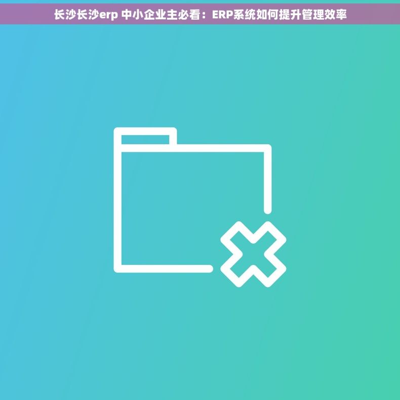 长沙长沙erp 中小企业主必看：ERP系统如何提升管理效率