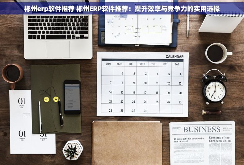 郴州erp软件推荐 郴州ERP软件推荐:提升效率与竞争力的实用选择 郴州erp软件推荐 郴州ERP软件推荐:提升效率与竞争力的实用选择