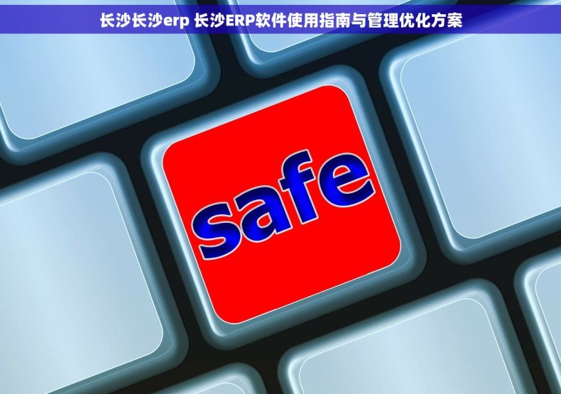 长沙长沙erp 长沙ERP软件使用指南与管理优化方案