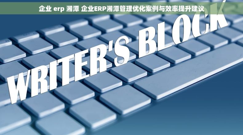企业 erp 湘潭 企业ERP湘潭管理优化案例与效率提升建议