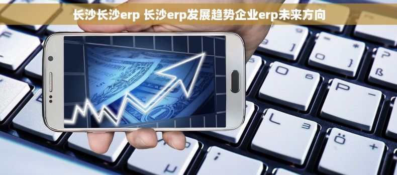 长沙长沙erp 长沙erp发展趋势企业erp未来方向 长沙长沙erp 长沙erp发展趋势企业erp未来方向