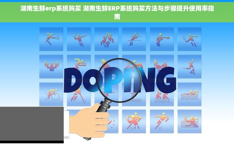 湖南生鲜erp系统购买 湖南生鲜ERP系统购买方法与步骤提升使用率指南 湖南生鲜erp系统购买 湖南生鲜ERP系统购买方法与步骤提升使用率指南