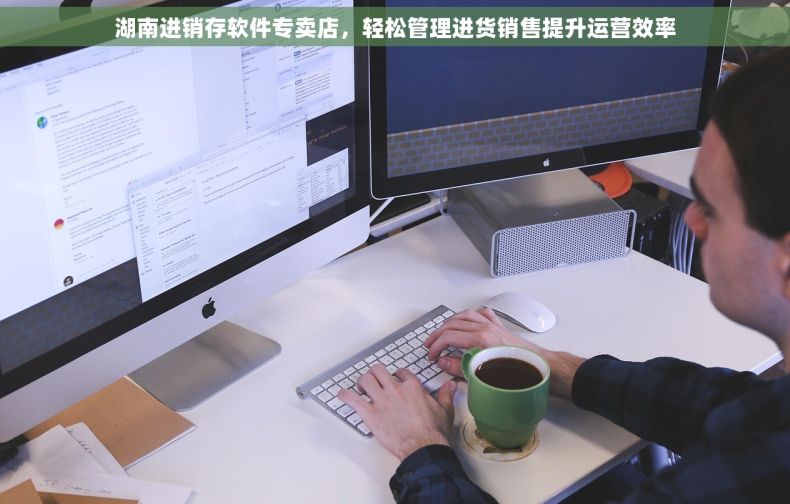 湖南进销存软件专卖店，轻松管理进货销售提升运营效率