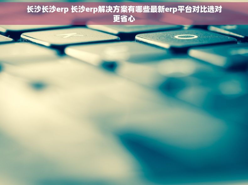 长沙长沙erp 长沙erp解决方案有哪些最新erp平台对比选对更省心