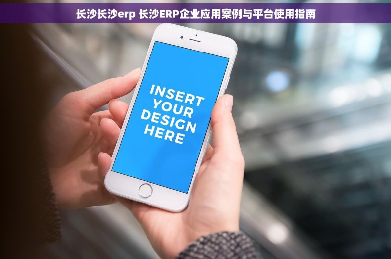 长沙长沙erp 长沙ERP企业应用案例与平台使用指南