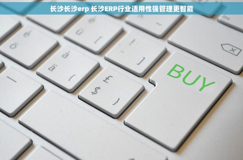 长沙长沙erp 长沙ERP行业适用性强管理更智能