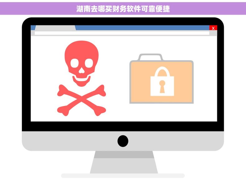 湖南去哪买财务软件可靠便捷