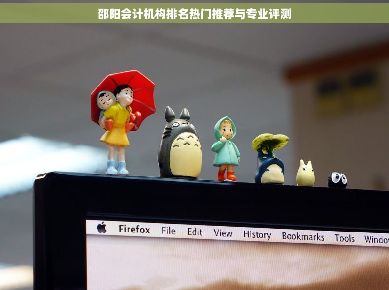 邵阳会计机构排名热门推荐与专业评测