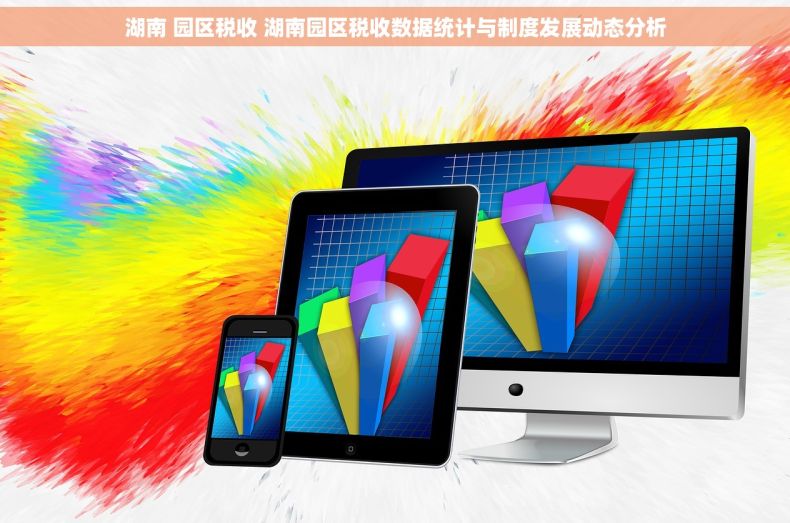 湖南 园区税收 湖南园区税收数据统计与制度发展动态分析