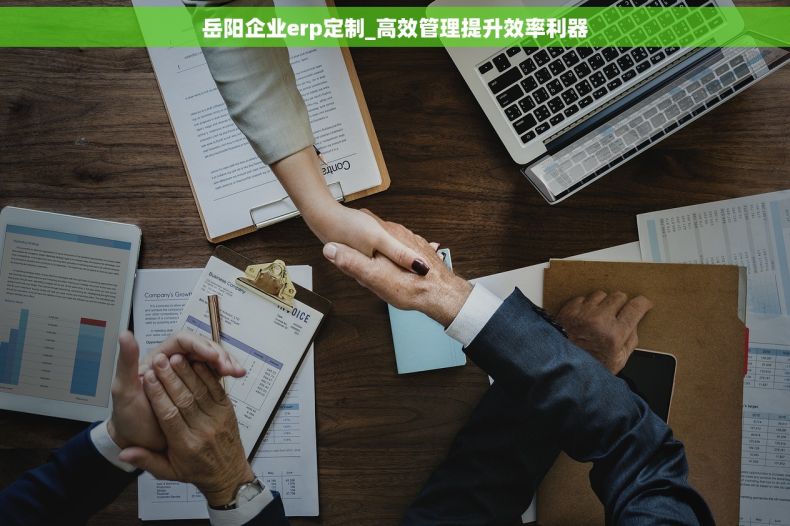 岳阳企业erp定制_高效管理提升效率利器