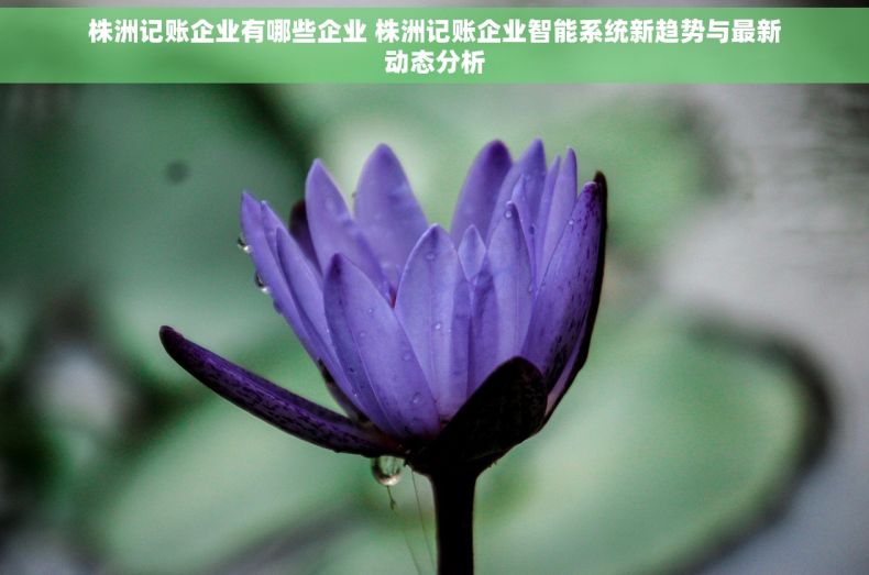 株洲记账企业有哪些企业 株洲记账企业智能系统新趋势与最新动态分析