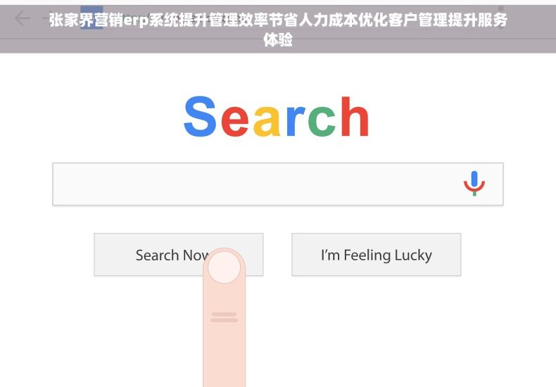 张家界营销erp系统提升管理效率节省人力成本优化客户管理提升服务体验 张家界营销erp系统提升管理效率节省人力成本优化客户管理提升服务体验