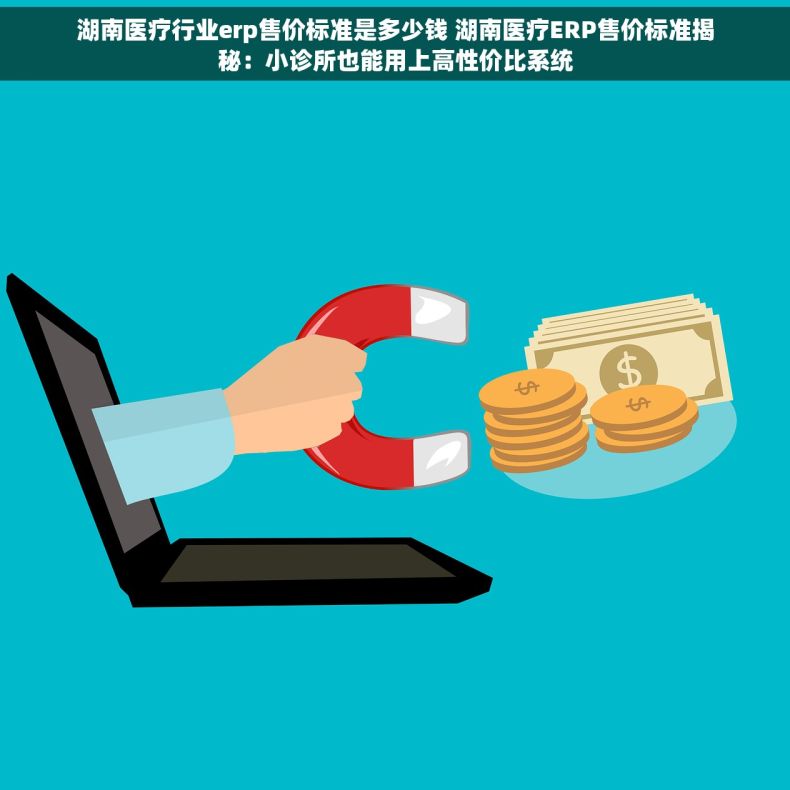 湖南医疗行业erp售价标准是多少钱 湖南医疗ERP售价标准揭秘：小诊所也能用上高性价比系统