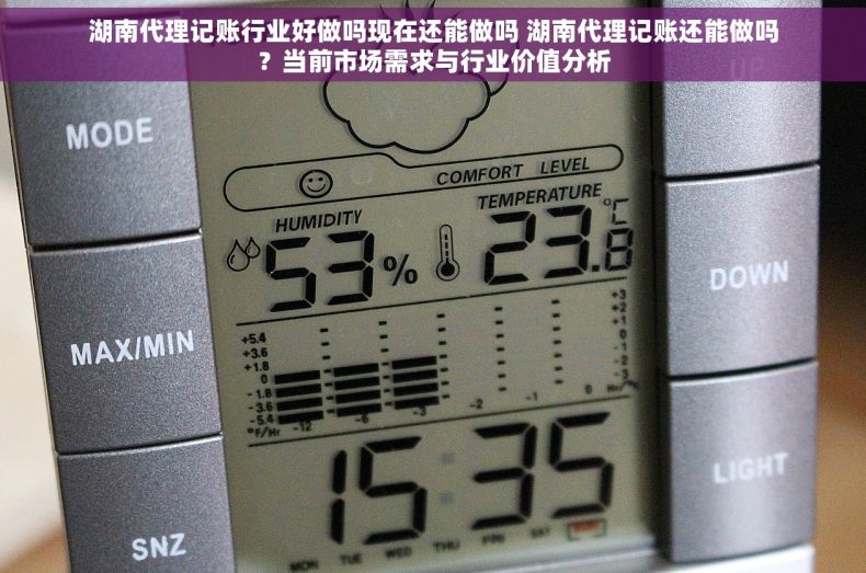 湖南代理记账行业好做吗现在还能做吗 湖南代理记账还能做吗？当前市场需求与行业价值分析