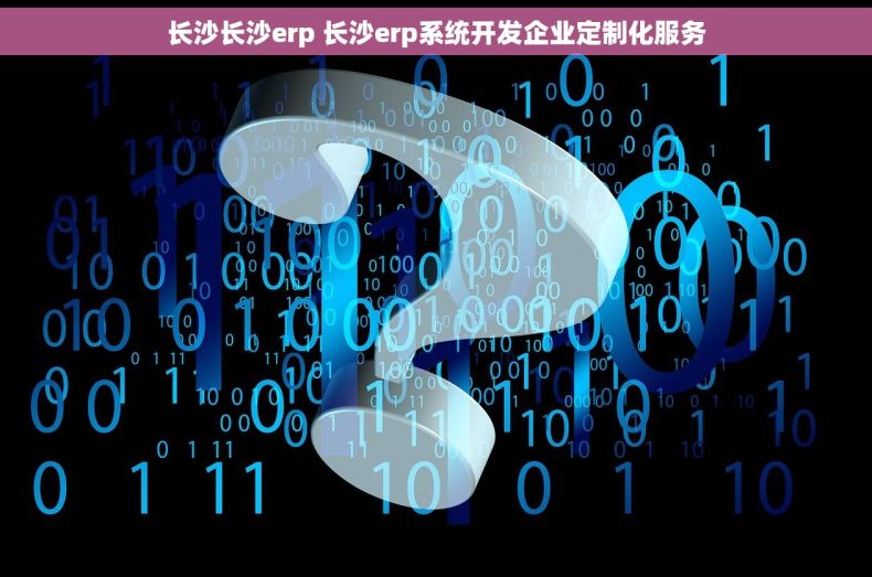 长沙长沙erp 长沙erp系统开发企业定制化服务