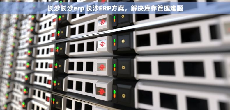 长沙长沙erp 长沙ERP方案，解决库存管理难题