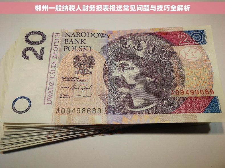 郴州一般纳税人财务报表报送常见问题与技巧全解析 郴州一般纳税人财务报表报送常见问题与技巧全解析
