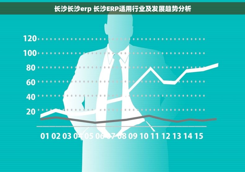 长沙长沙erp 长沙ERP适用行业及发展趋势分析 长沙长沙erp 长沙ERP适用行业及发展趋势分析