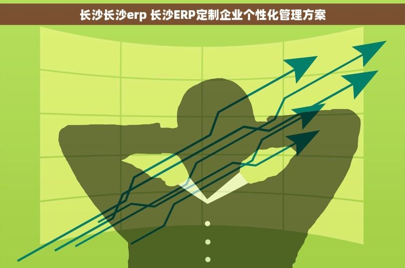 长沙长沙erp 长沙ERP定制企业个性化管理方案 长沙长沙erp 长沙ERP定制企业个性化管理方案