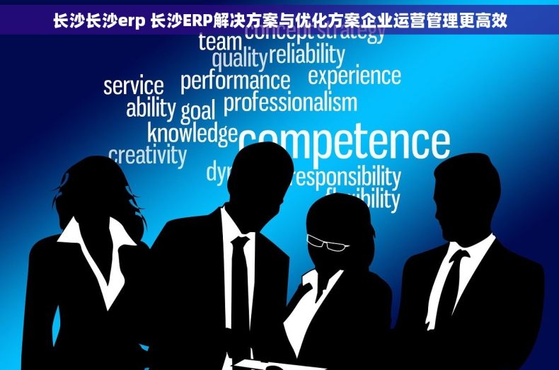 长沙长沙erp 长沙ERP解决方案与优化方案企业运营管理更高效