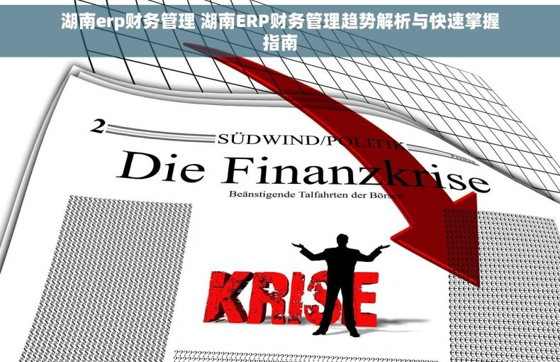 湖南erp财务管理 湖南ERP财务管理趋势解析与快速掌握指南 湖南erp财务管理 湖南ERP财务管理趋势解析与快速掌握指南