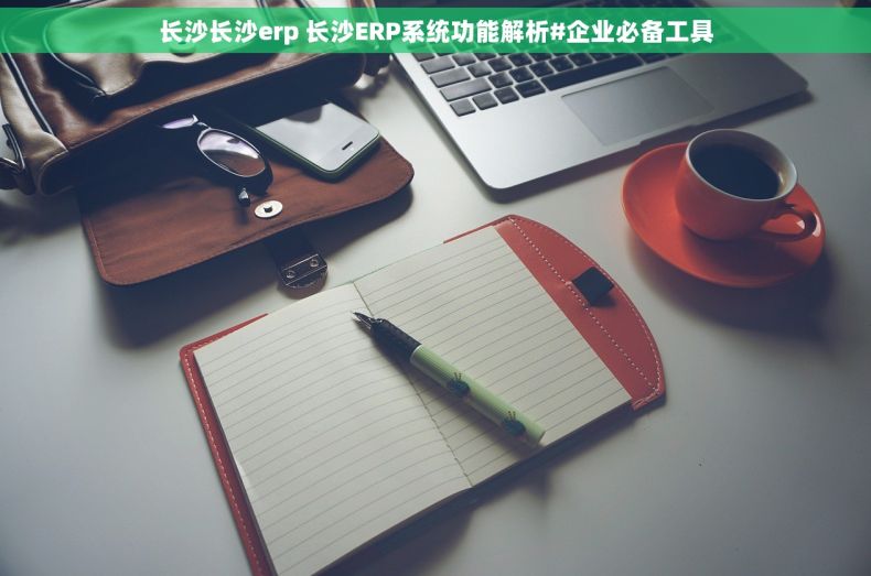 长沙长沙erp 长沙ERP系统功能解析#企业必备工具