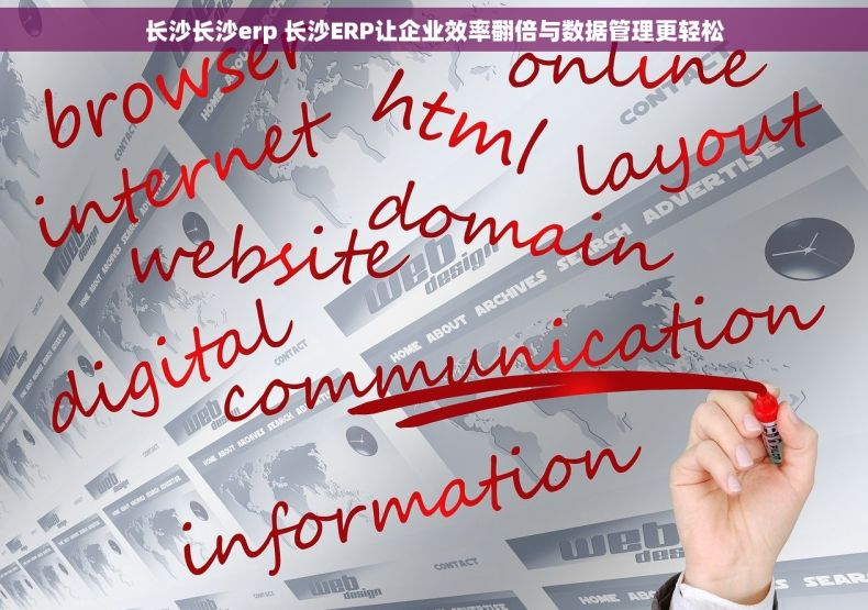 长沙长沙erp 长沙ERP让企业效率翻倍与数据管理更轻松