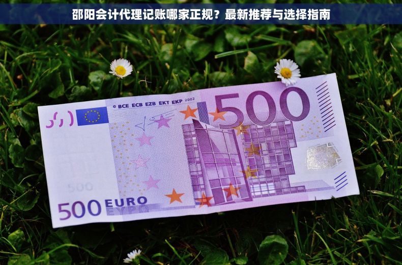 邵阳会计代理记账哪家正规?最新推荐与选择指南 邵阳会计代理记账哪家正规?最新推荐与选择指南
