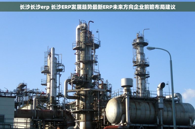 长沙长沙erp 长沙ERP发展趋势最新ERP未来方向企业前瞻布局建议 长沙长沙erp 长沙ERP发展趋势最新ERP未来方向企业前瞻布局建议