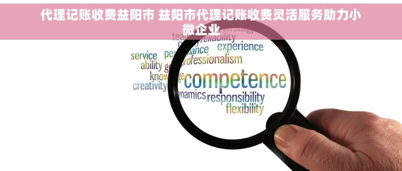 代理记账收费益阳市 益阳市代理记账收费灵活服务助力小微企业 代理记账收费益阳市 益阳市代理记账收费灵活服务助力小微企业