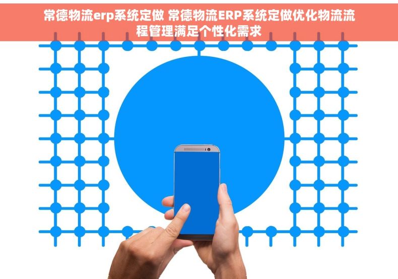 常德物流erp系统定做 常德物流ERP系统定做优化物流流程管理满足个性化需求 常德物流erp系统定做 常德物流ERP系统定做优化物流流程管理满足个性化需求