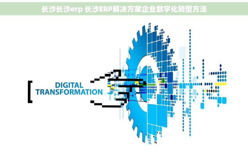 长沙长沙erp 长沙ERP解决方案企业数字化转型方法