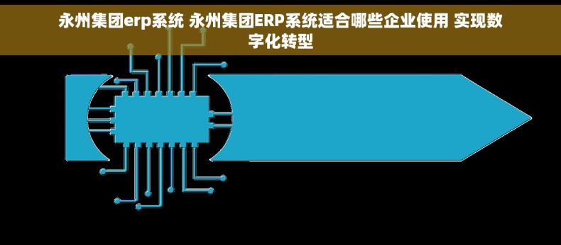 永州集团erp系统 永州集团ERP系统适合哪些企业使用 实现数字化转型