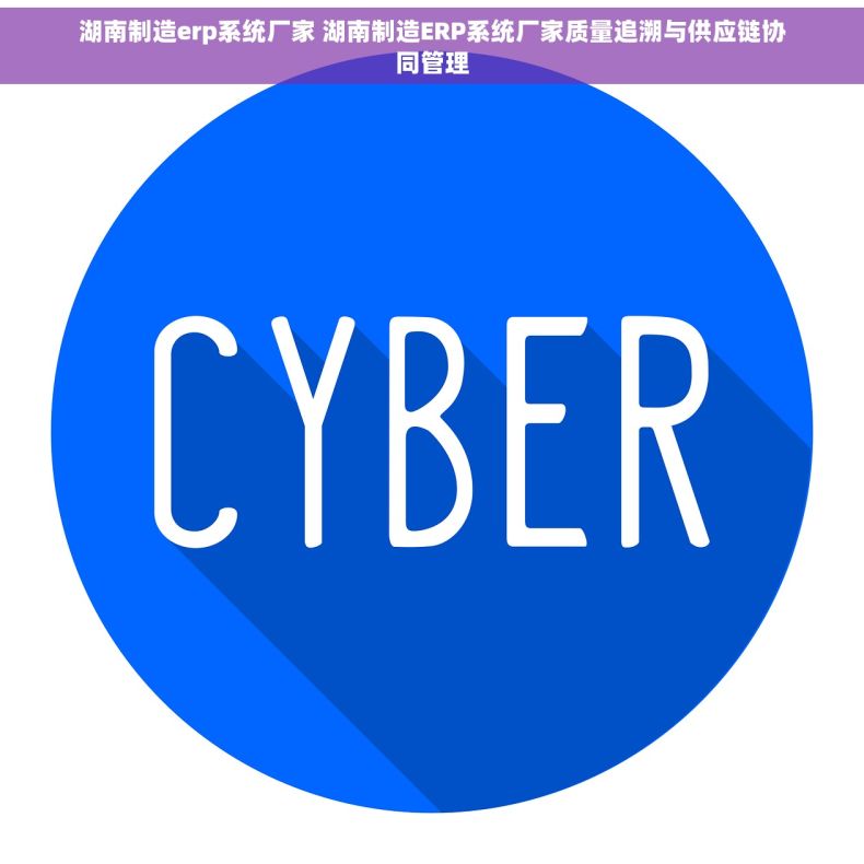 湖南制造erp系统厂家 湖南制造ERP系统厂家质量追溯与供应链协同管理