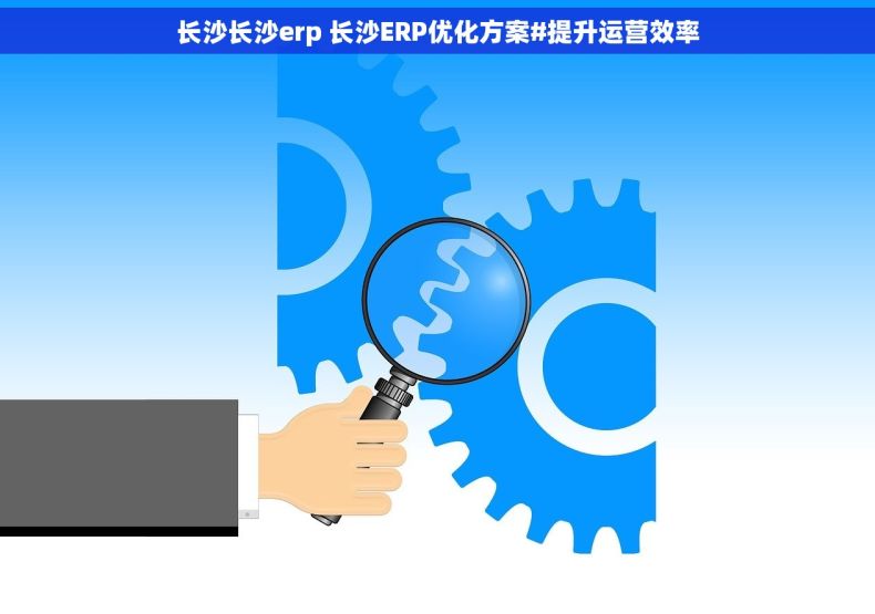 长沙长沙erp 长沙ERP优化方案#提升运营效率