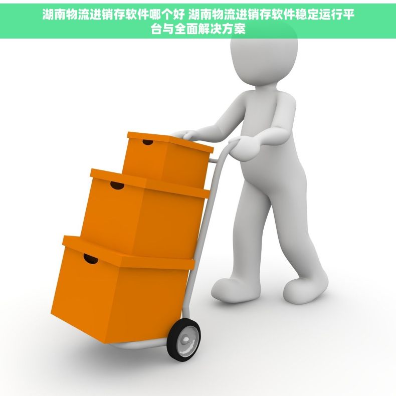 湖南物流进销存软件哪个好 湖南物流进销存软件稳定运行平台与全面解决方案 湖南物流进销存软件哪个好 湖南物流进销存软件稳定运行平台与全面解决方案