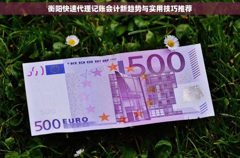 衡阳快速代理记账会计新趋势与实用技巧推荐