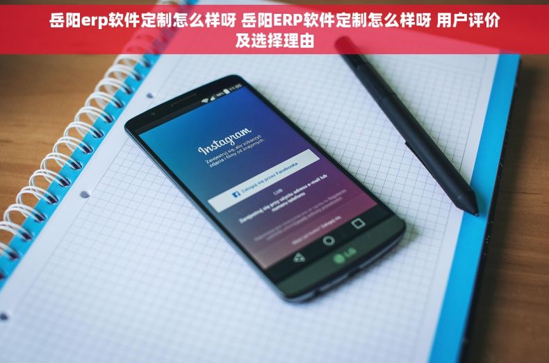 岳阳erp软件定制怎么样呀 岳阳ERP软件定制怎么样呀 用户评价及选择理由