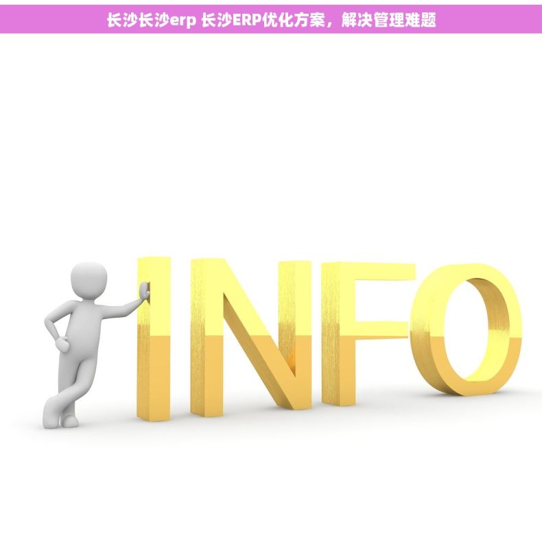 长沙长沙erp 长沙ERP优化方案,解决管理难题 长沙长沙erp 长沙ERP优化方案,解决管理难题