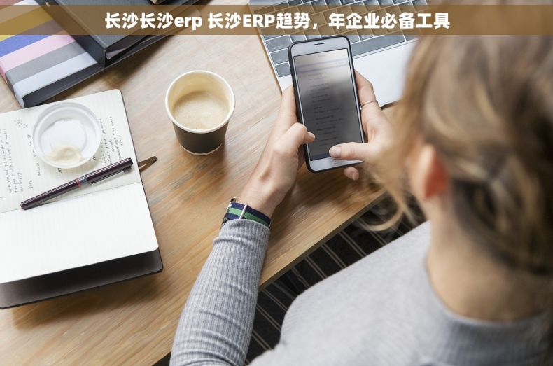 长沙长沙erp 长沙ERP趋势，年企业必备工具
