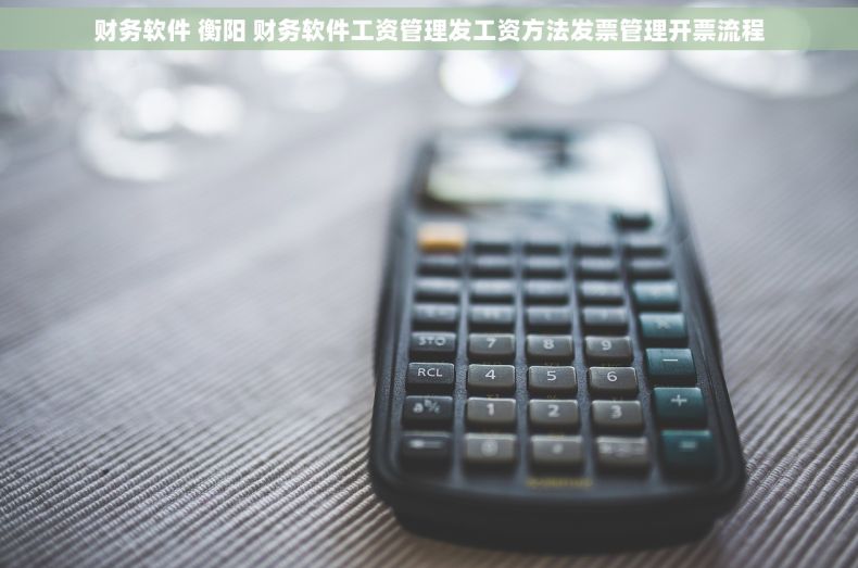 财务软件 衡阳 财务软件工资管理发工资方法发票管理开票流程
