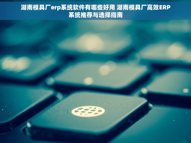 湖南模具厂erp系统软件有哪些好用 湖南模具厂高效ERP系统推荐与选择指南 湖南模具厂erp系统软件有哪些好用 湖南模具厂高效ERP系统推荐与选择指南
