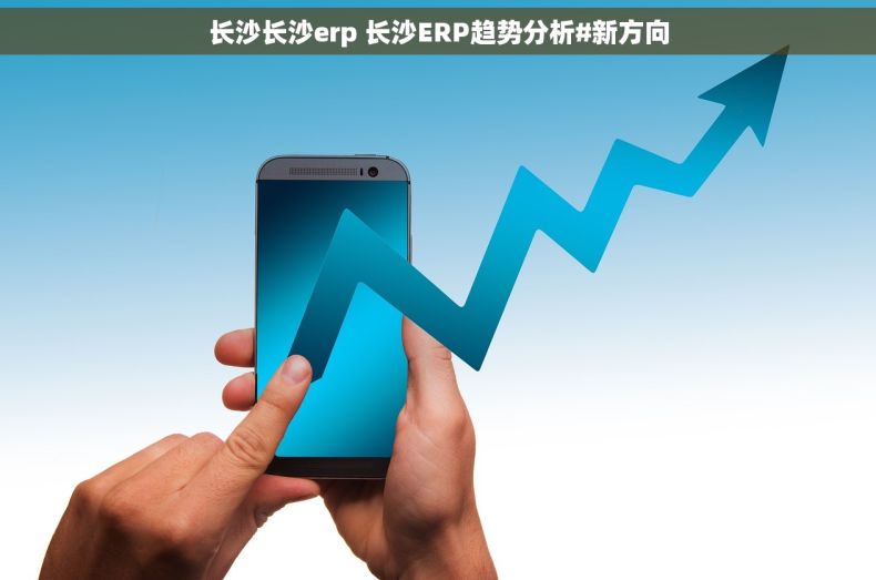 长沙长沙erp 长沙ERP趋势分析#新方向